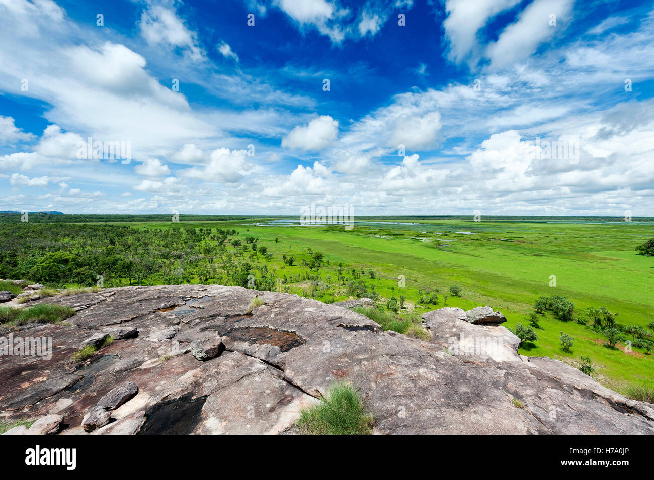 Guardando a Nord attraverso di Arnhem Land. Una vista panoramica da Ubirr, Parco Nazionale Kakadu, Territorio del Nord, l'Australia. Foto Stock