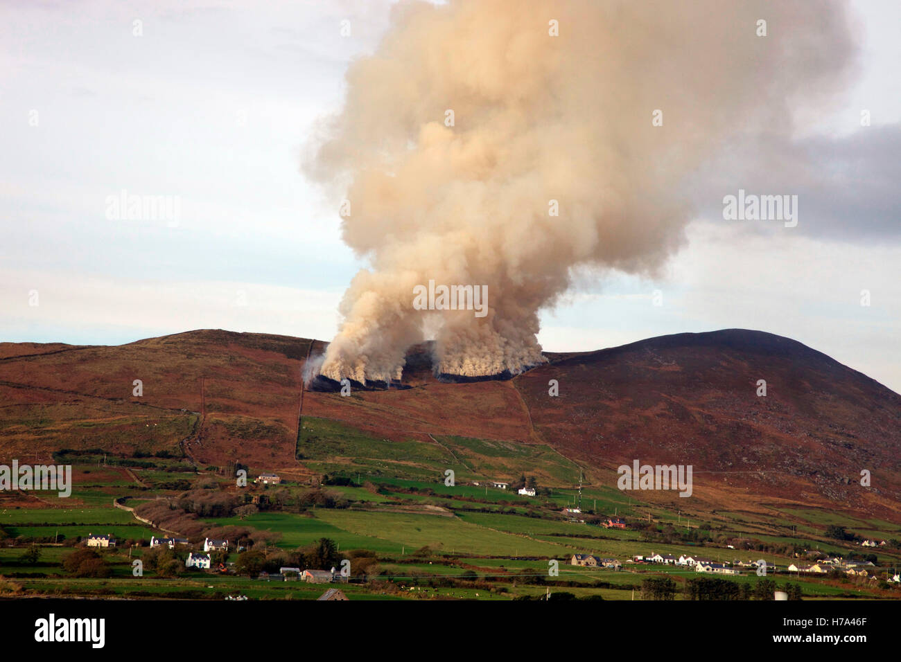 La masterizzazione del gorse per gestire la terra nella Contea di Kerry Foto Stock