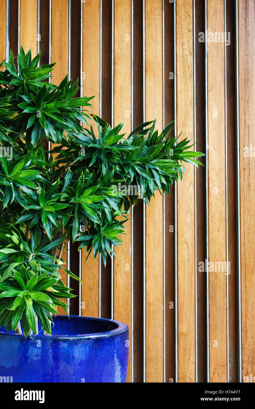 Hotel lobby con piante verdi in vaso blu Foto Stock