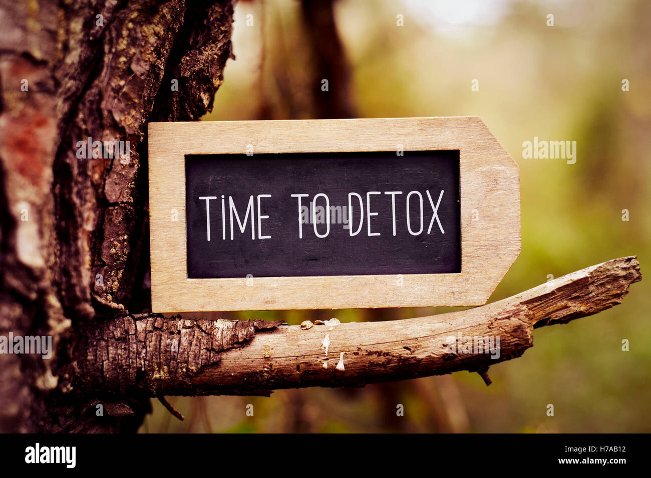 Primo piano di una etichetta a forma di lavagna con il testo tempo di detox scritto in esso, disposto su un ramo di un albero di pino Foto Stock
