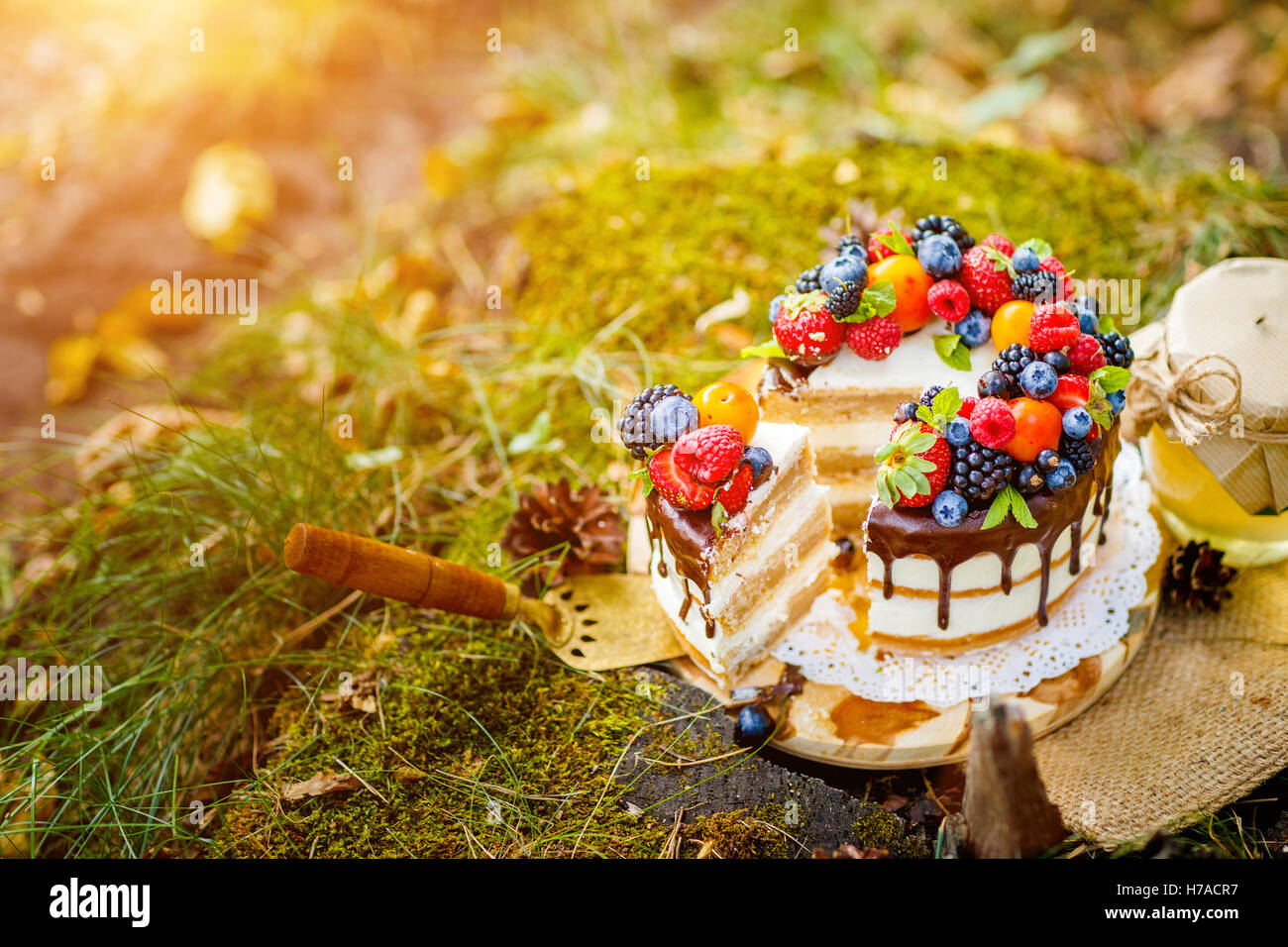 Estate torta di frutti di bosco Foto Stock