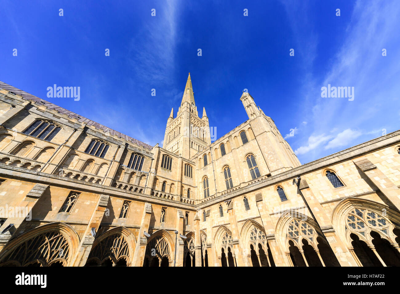 Norwich Cathedral e la sua guglia in una giornata di sole con cielo blu, Norwich, Norfolk, East Anglia, Inghilterra orientale Foto Stock