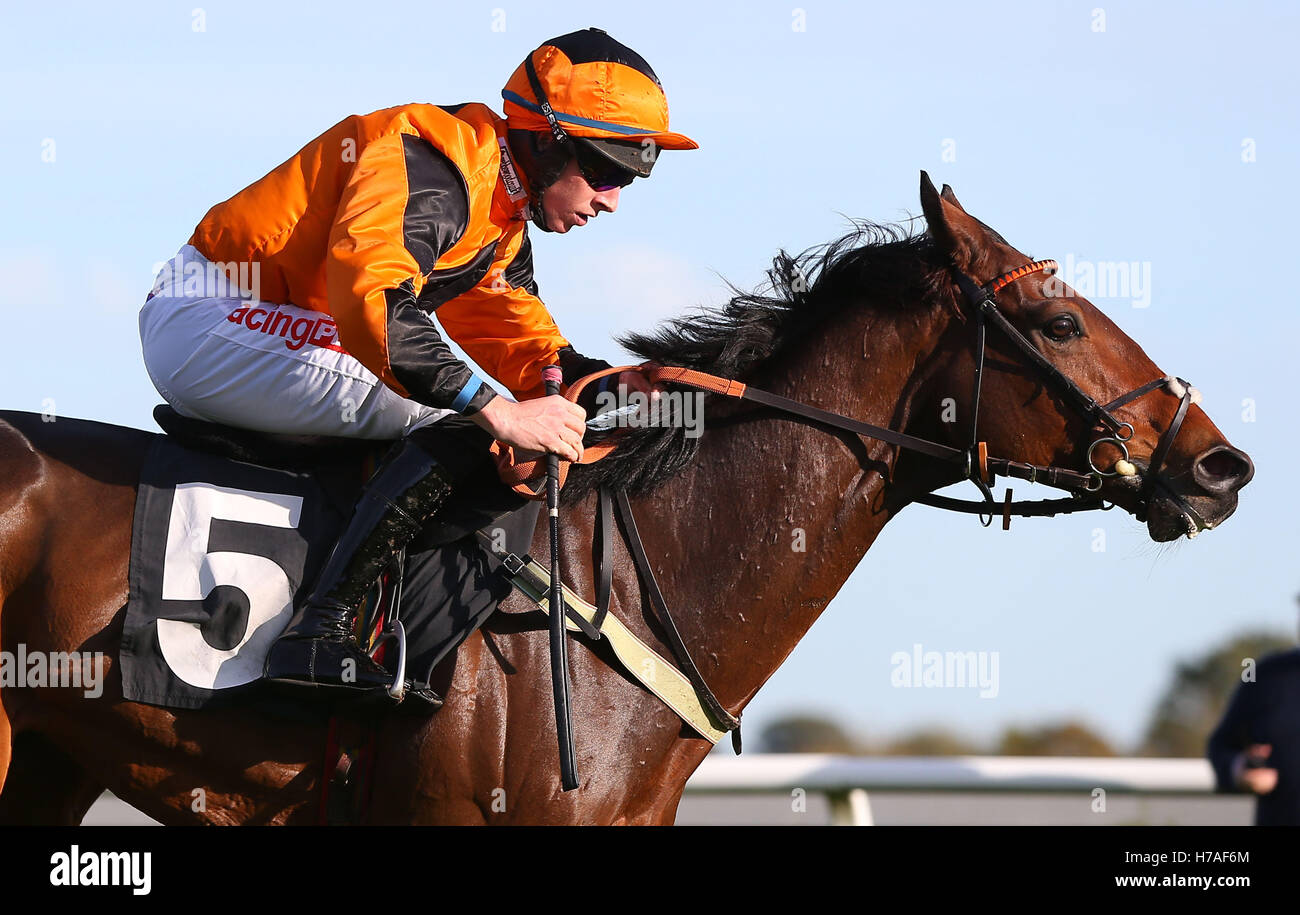 Plumpton, UK. Il 31 ottobre 2016. Orso Jack (cappuccio arancione) cavalcato da Gavin Sheehan visto durante gli allevatori" Cup esclusivamente su a gare Maiden Hurdle © Immagini teleobiettivo / Alamy Live News Foto Stock