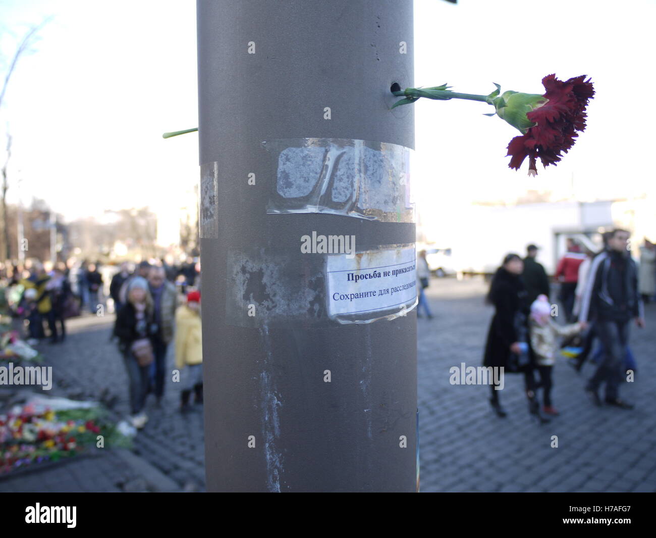 A Kiev city centre, un fiore in un foro di proiettile rende omaggio alle vittime della Rivoluzione, pochi giorni dopo la caduta di Yanukovych Foto Stock
