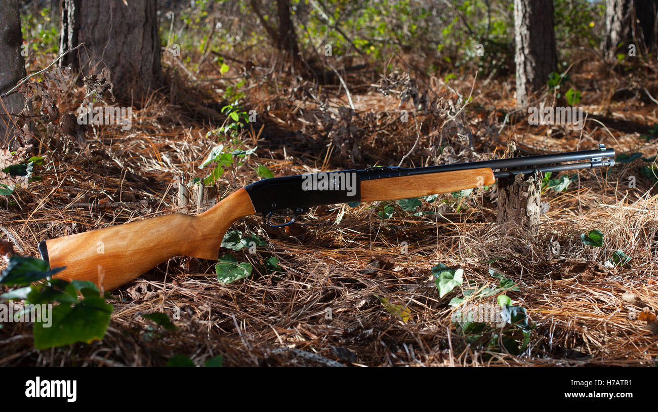 Semi automatico rimfire fucile in forst con alberi Foto Stock