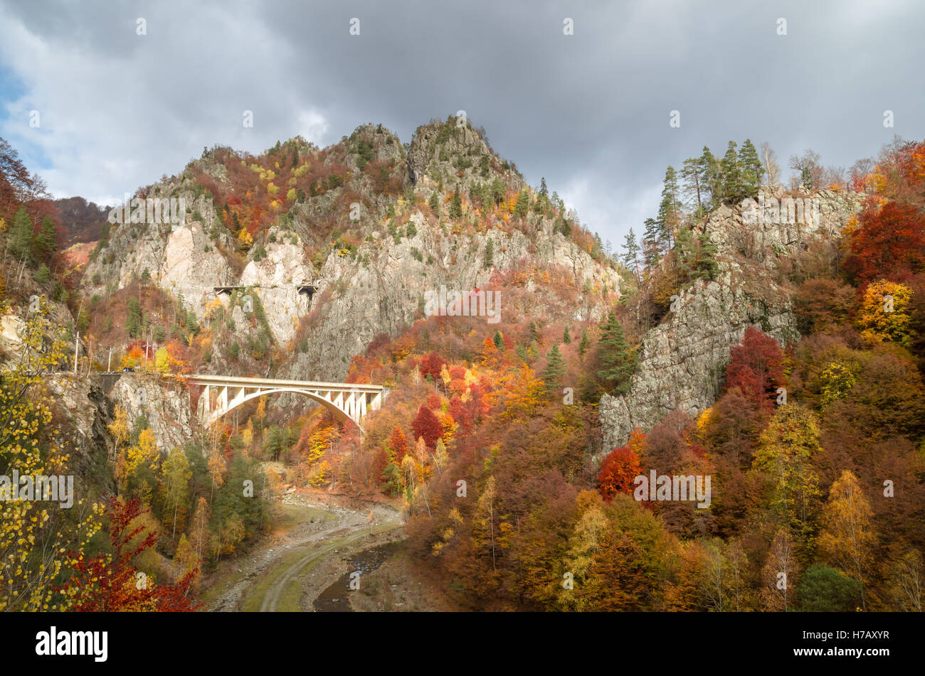 Rientrano in una foresta di montagna. Transfagarasan strada in autunno. Foto Stock