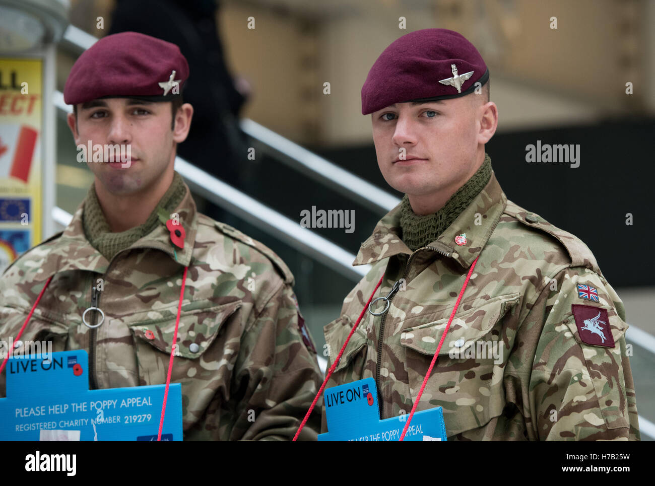 Londra, Regno Unito. 3 Novembre, 2016. Londra appello di papavero lanciare,Reggimento paracadutisti raccoglie per giorno di papavero Credito: Ian Davidson/Alamy Live News Foto Stock