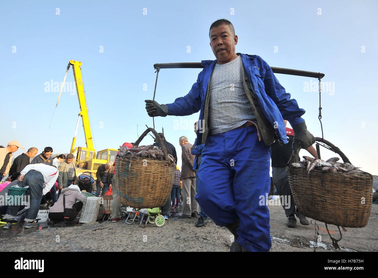 Qingdao, Qingdao, Cina. 3 Novembre, 2016. Qingdao, CINA-novembre 3 2016: (solo uso editoriale. Cina OUT).Il mercato di pesce a Qingdao, Cina orientale della provincia di Shandong, Novembre 3rd, 2016. Piatti a base di frutti di mare freschi è palancole in Qingdao durante il picco di stagione di pesca. Il pesce è venduto al mercato interno e sui mercati esteri, conquistando una grande popolarità. Inoltre alcuni dei piatti a base di frutti di mare freschi saranno trasformati in prodotti a base di pesce a stabilimenti di trasformazione nelle vicinanze. © SIPA Asia/ZUMA filo/Alamy Live News Foto Stock