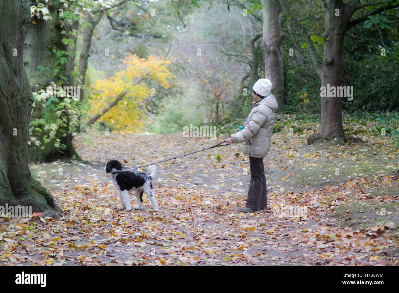 Il torneo di Wimbledon di Londra, Regno Unito. Il 4 novembre 2016. La gente a piedi su Wimbledon Common sul grigio di una giornata autunnale Credito: amer ghazzal/Alamy Live News Foto Stock