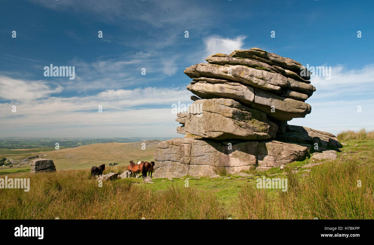 Il affioramenti granitici a poco Mis Tor su Dartmoor Foto Stock