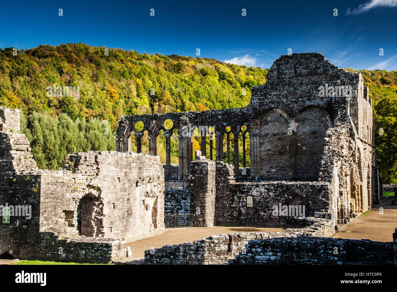 Tintern Abbey in Monmouthshire, Galles. Foto Stock