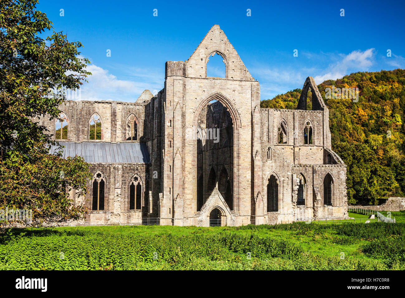 Tintern Abbey in Monmouthshire, Galles. Foto Stock