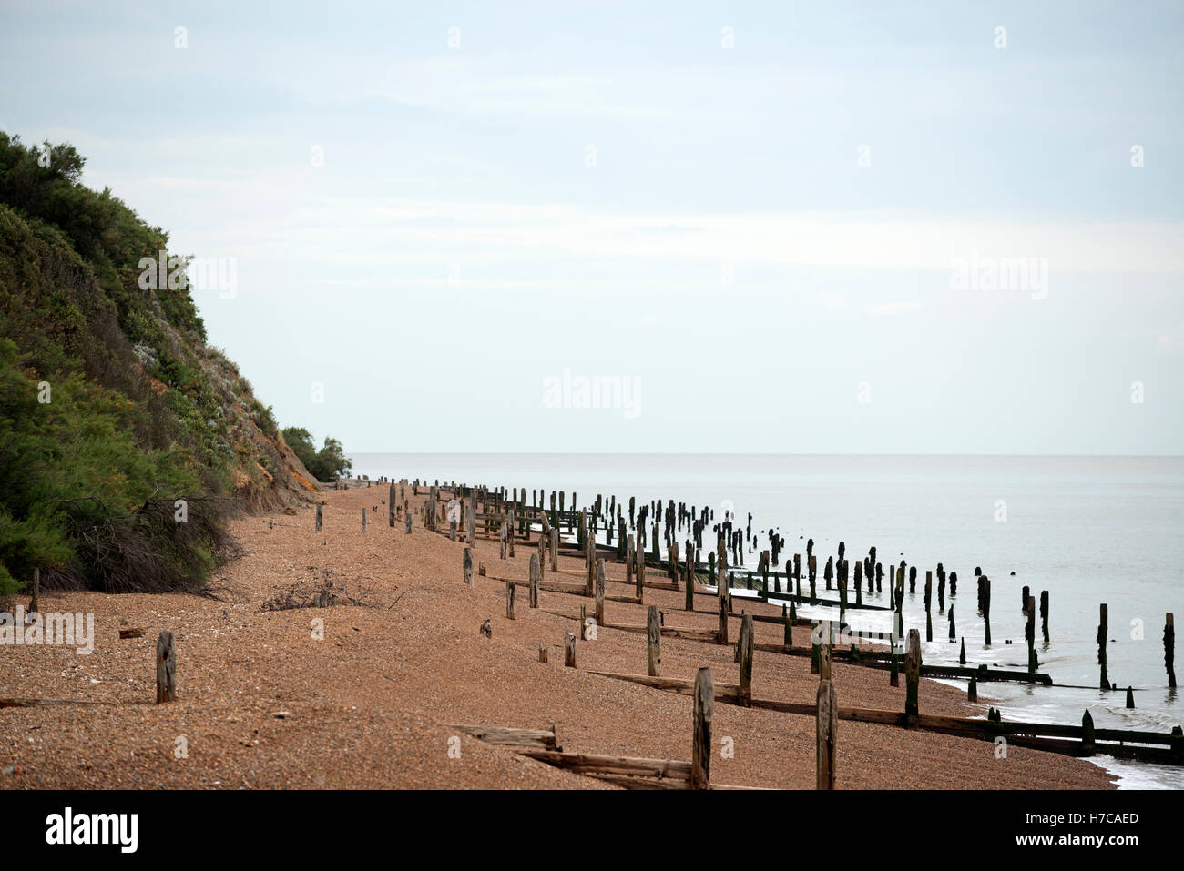 I frangiflutti in legno Bawdsey Ferry Suffolk in Inghilterra Foto Stock