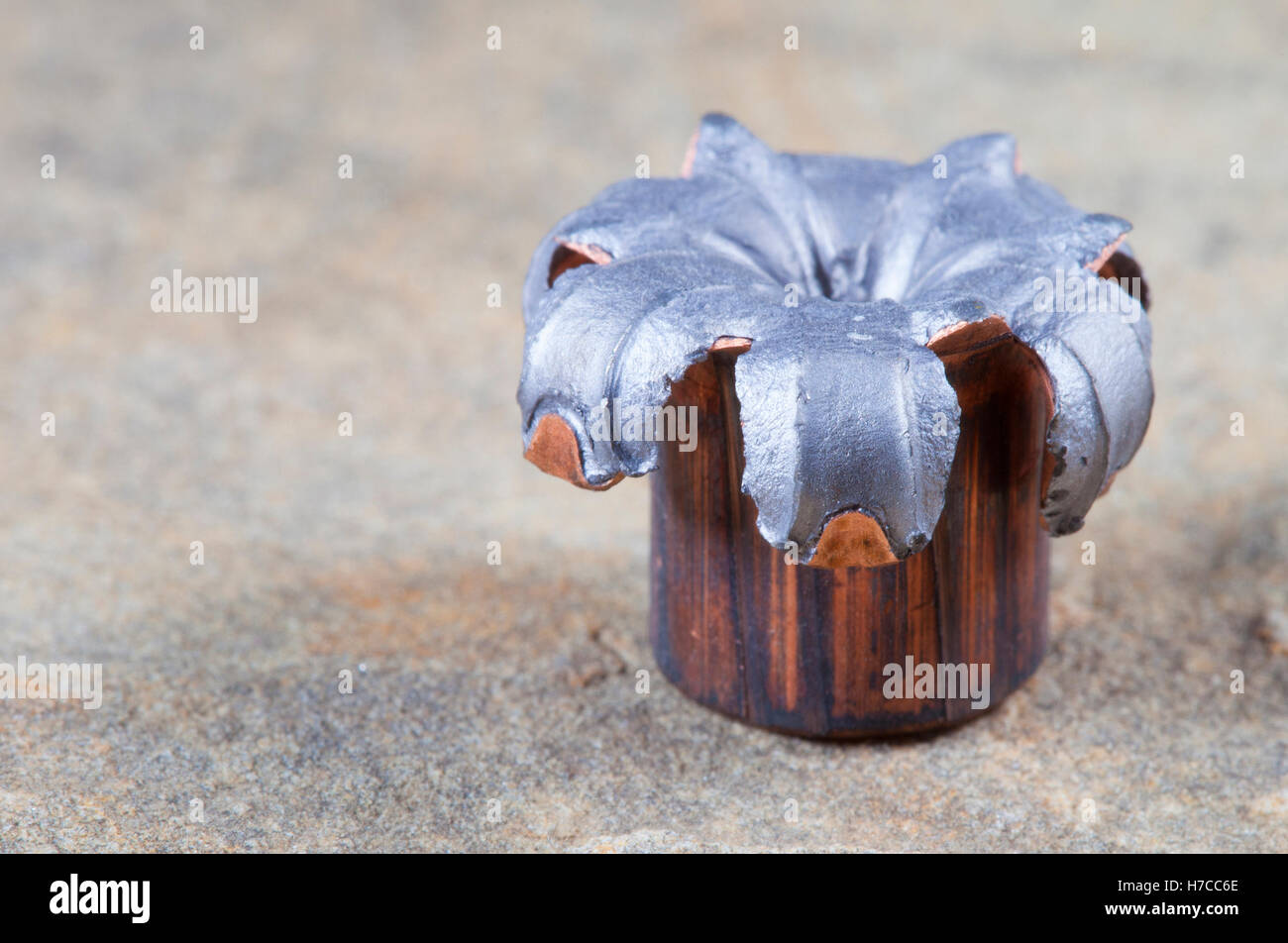 Bullet con un punto di cava che si è espansa in caso di urto Foto Stock