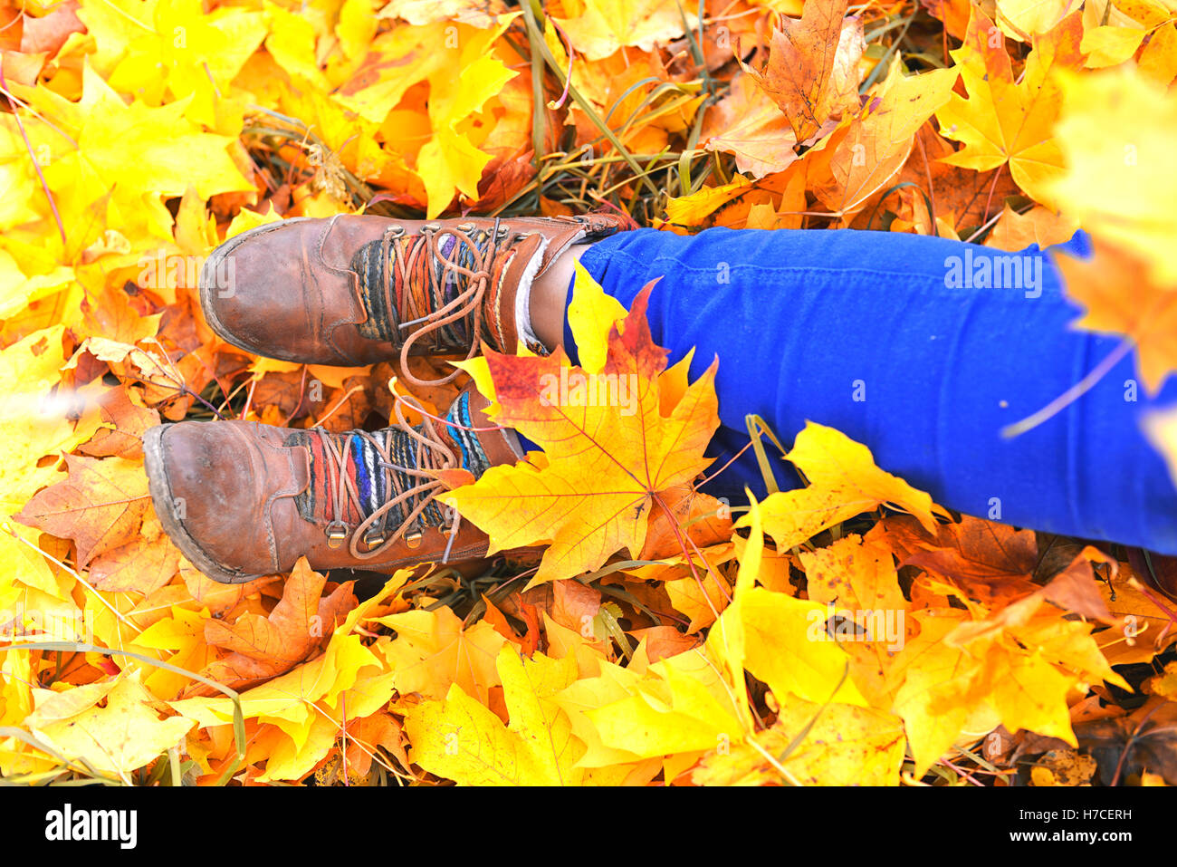 Scarpe in giallo di foglie di acero Foto Stock