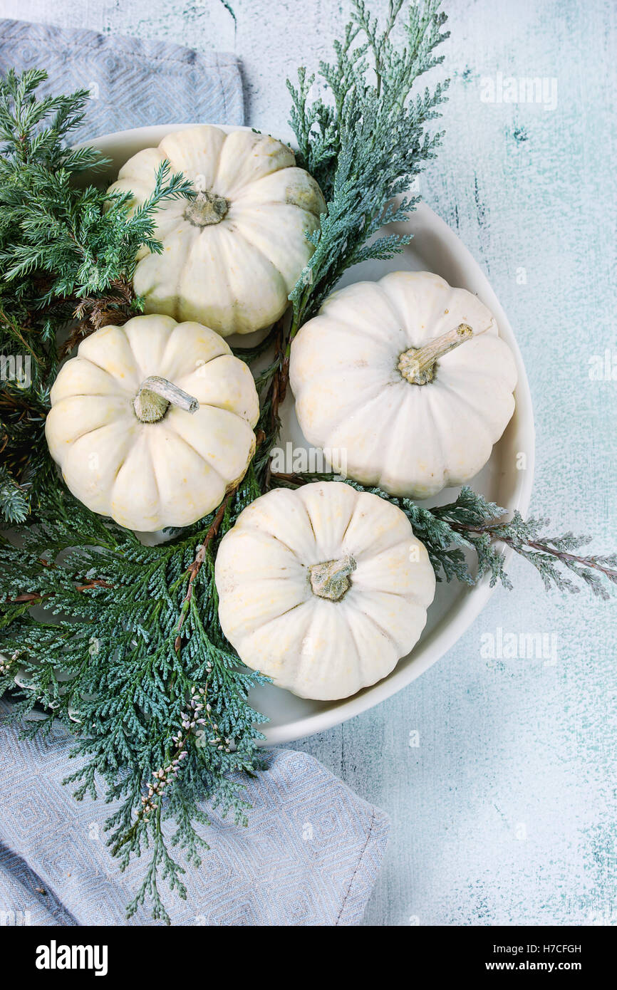 Holiday decorazioni per la tavola con il bianco zucche decorative e thuja succursali sul tessile blu tovagliolo bianco su sfondo di legno. Foto Stock