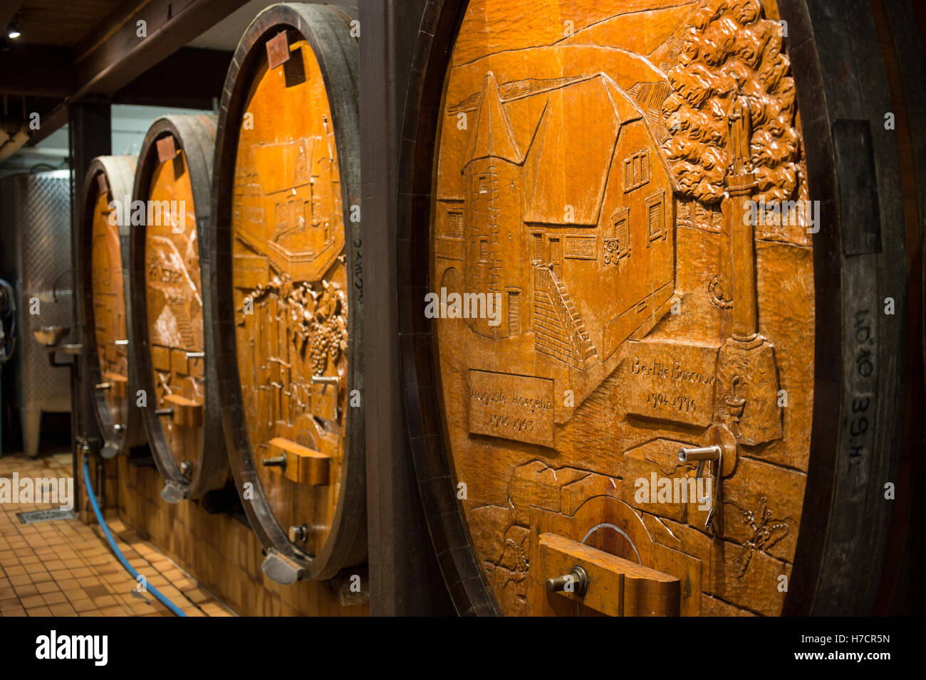 Botti da vino a Materne Haegelin Cantina Orchwihr, Francia Foto Stock