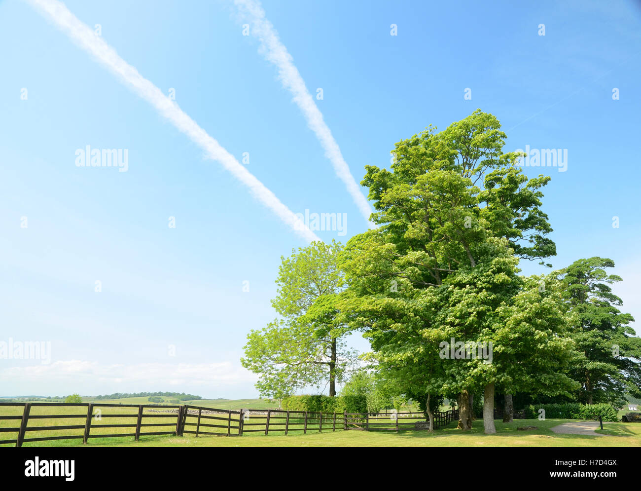 Sentieri a getto, Northumberland, Inghilterra Foto Stock