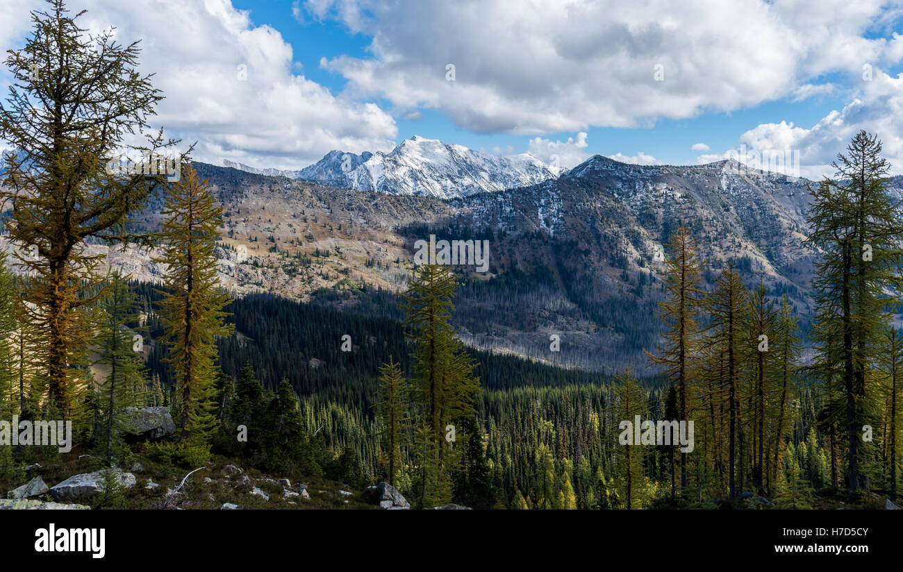 Vista montagna lungo la Pacific Crest Trail nel North Cascades. Washington, Stati Uniti d'America. Foto Stock