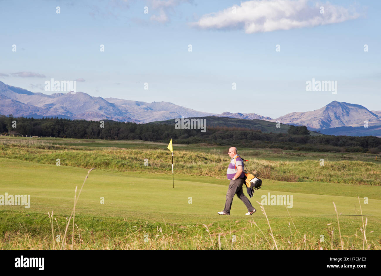 Giocatore di golf Royal St. David's Golf Club Harlech Gwynedd, Galles del Nord, Regno Unito Foto Stock