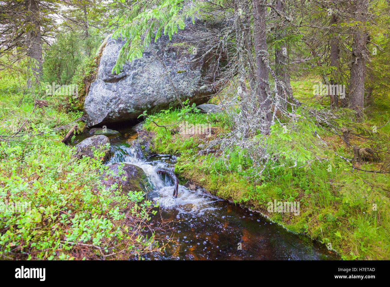 Flusso e pietra sulla montagna del Vottovaara nella Carelia (Russia) Foto Stock