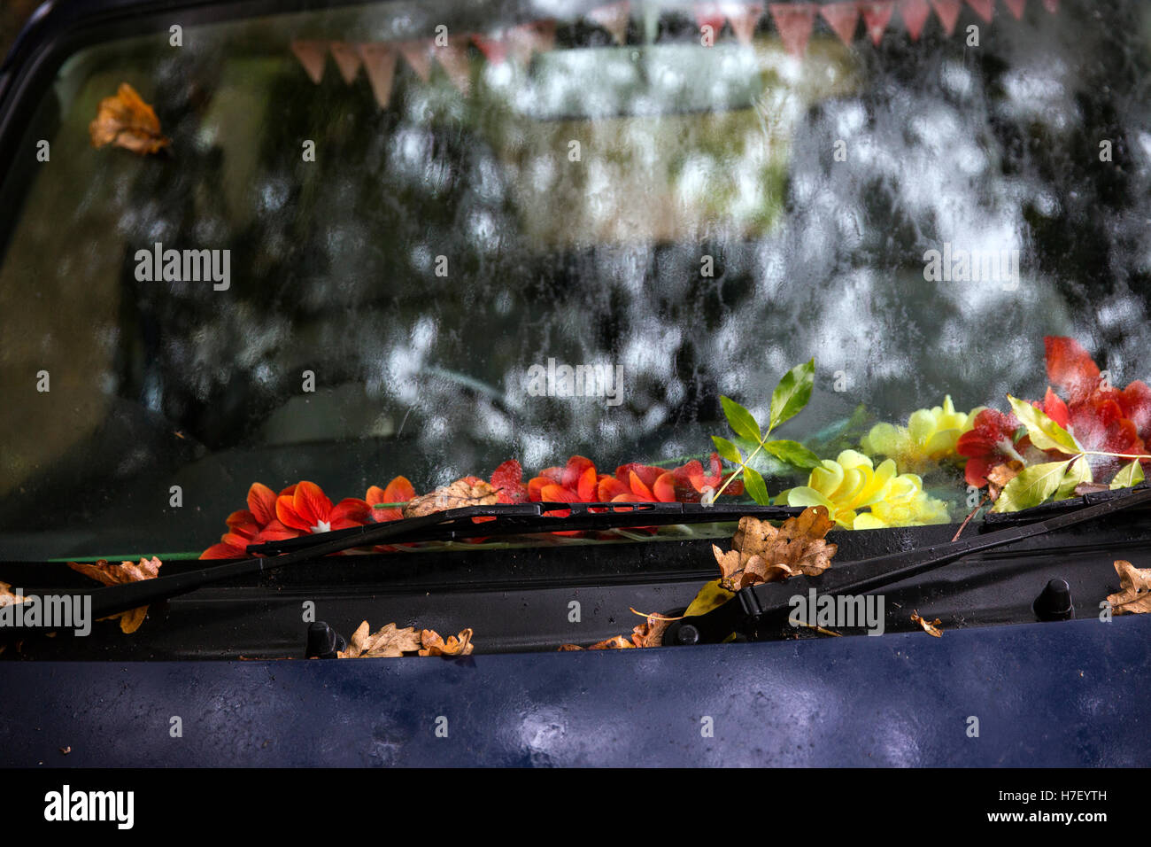 Parabrezza auto coperto di foglie di autunno,auto, caduta, parabrezza, autunno, albero, cofano, Viaggi, Giorno, marrone, giallo, tergivetro, traffico, m Foto Stock