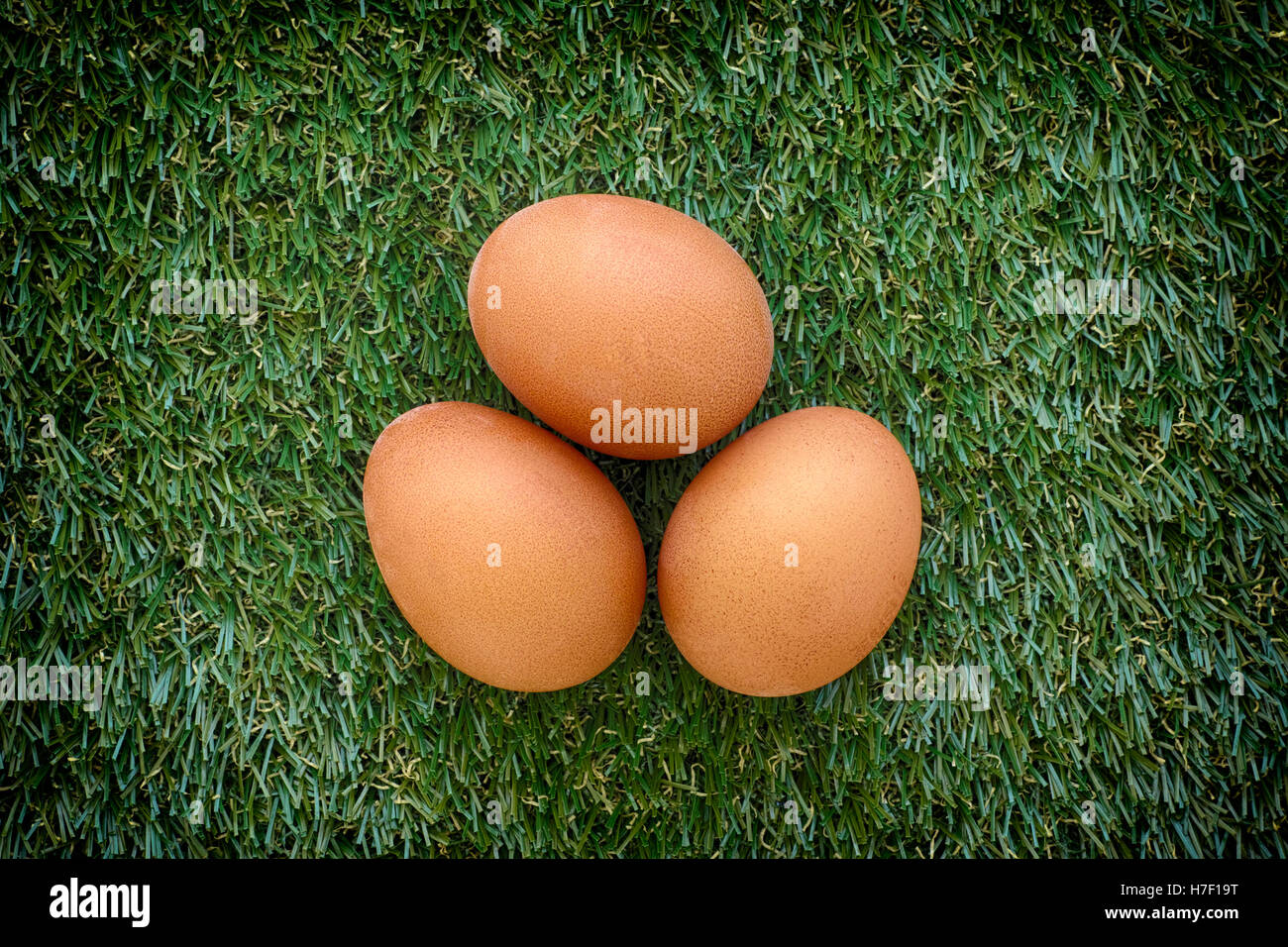 Tre uova di gallina posa su erba verde. Free range uova. Close up. Foto Stock