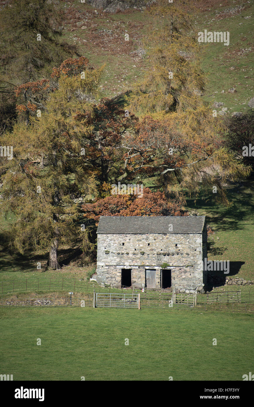 Lakeland fienile in The Langdale Valley, Lake District, Cumbria, Regno Unito. Foto Stock