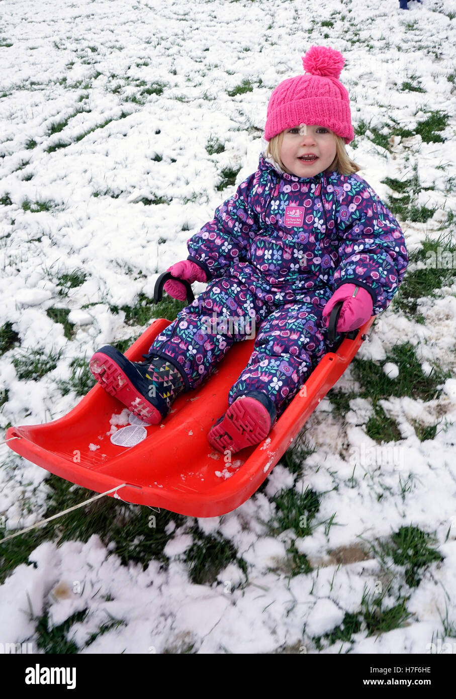 Il toddler sulla slitta nella neve Foto Stock