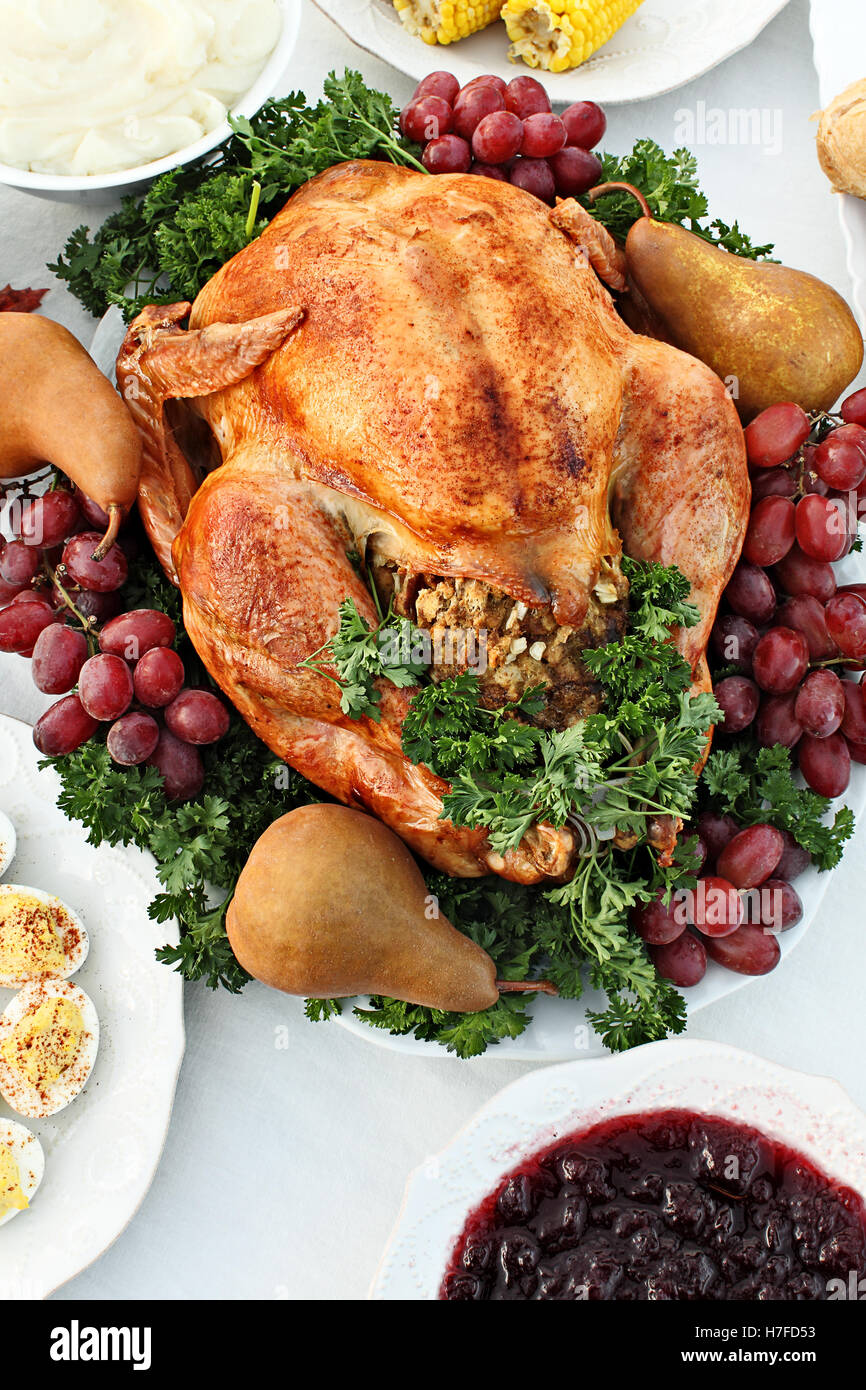 Ringraziamento Turchia con contorni di deviled uova, mais, purè di patate e salsa di mirtilli. Immagine ripresa dal di sopra. Foto Stock