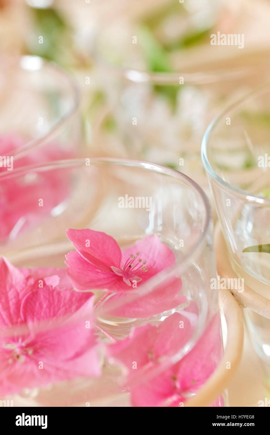 Fiori in bicchieri di acqua Foto Stock