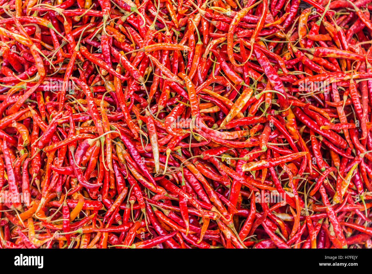 Peperoncino rosso in un mercato, Nampan, Lago Inle, Stato Shan, Myanmar Foto Stock