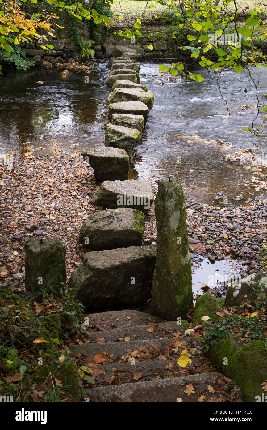 Trampolini per Dunsford attraverso il Fiume Teign, Bridford legno, Devon, Regno Unito. Foto Stock