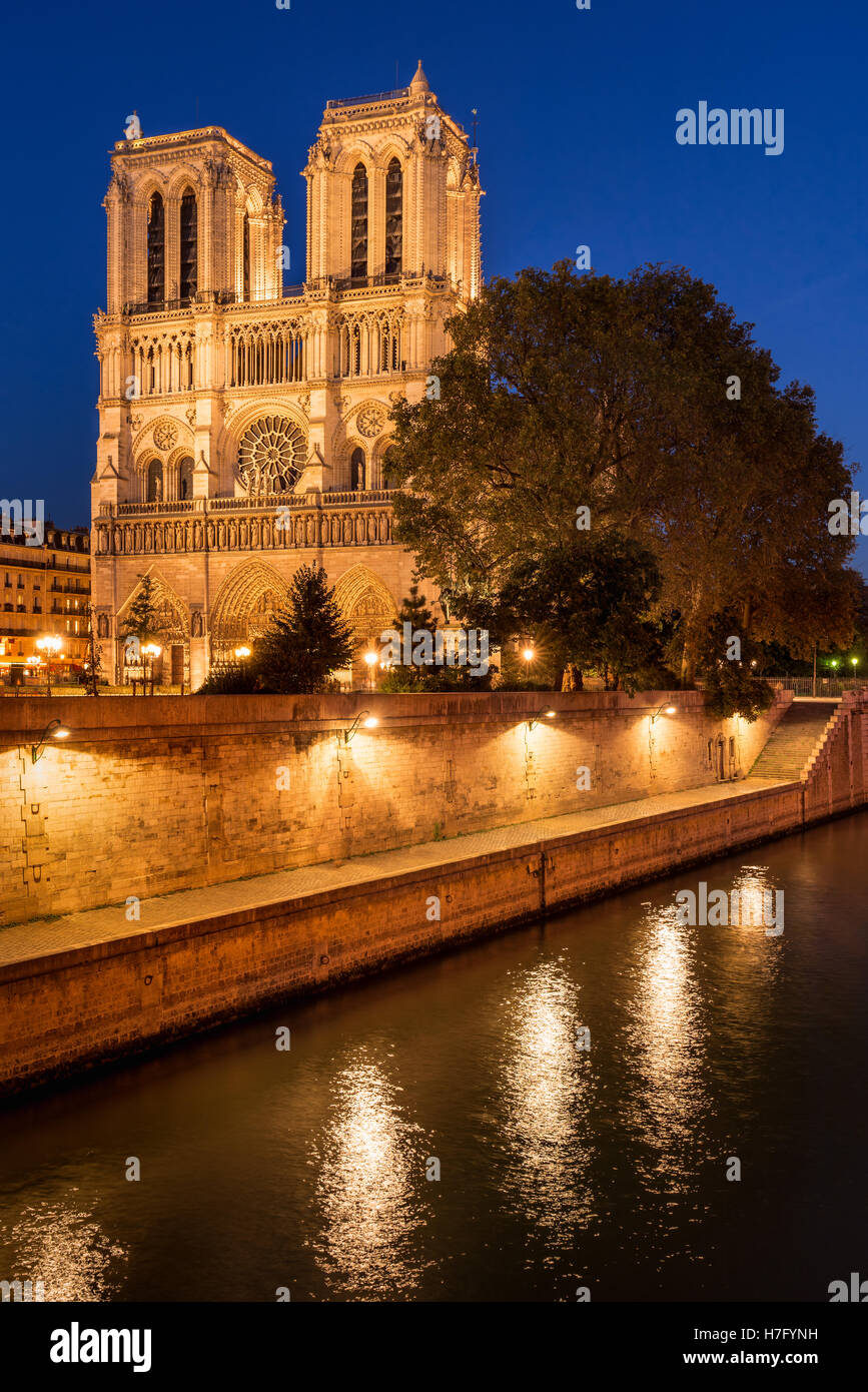 Notre Dame de Paris cathedral accesa al crepuscolo con la senna sul Ile de la Cite. Parigi, Francia Foto Stock