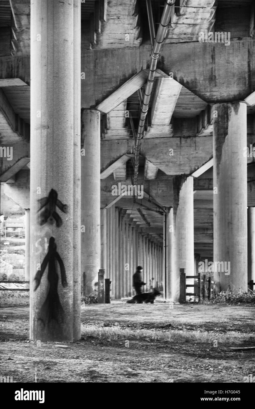 L uomo e il suo cane a camminare sotto una strada rialzata con grandi colonne strutturali Foto Stock