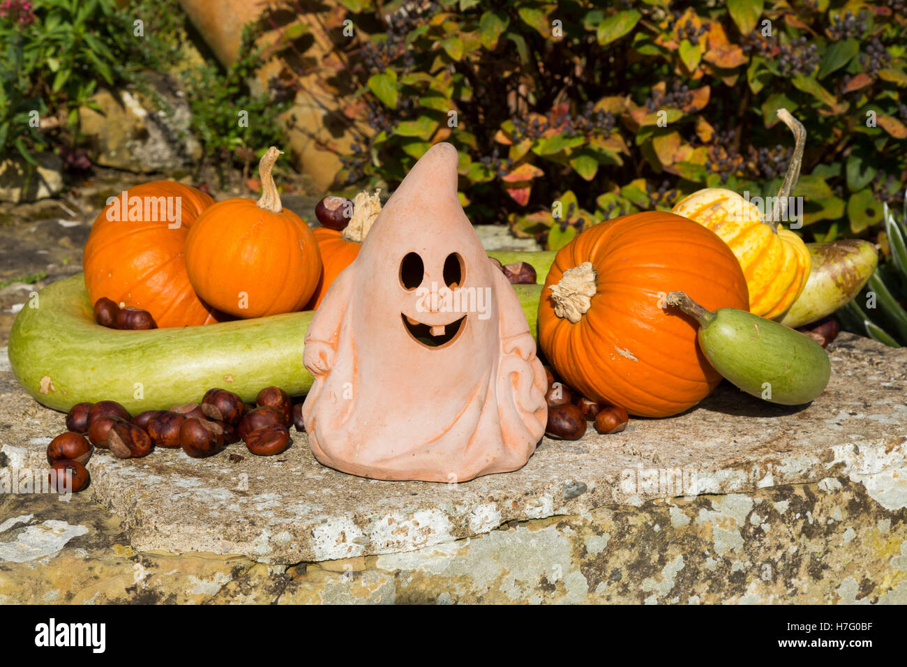 Disposizione di Halloween Lampada Lanterna con autunnali coloquintidi ornamentali ( gourd ), schiaccia ( squash ) e i dadi, in autunno. Regno Unito Foto Stock