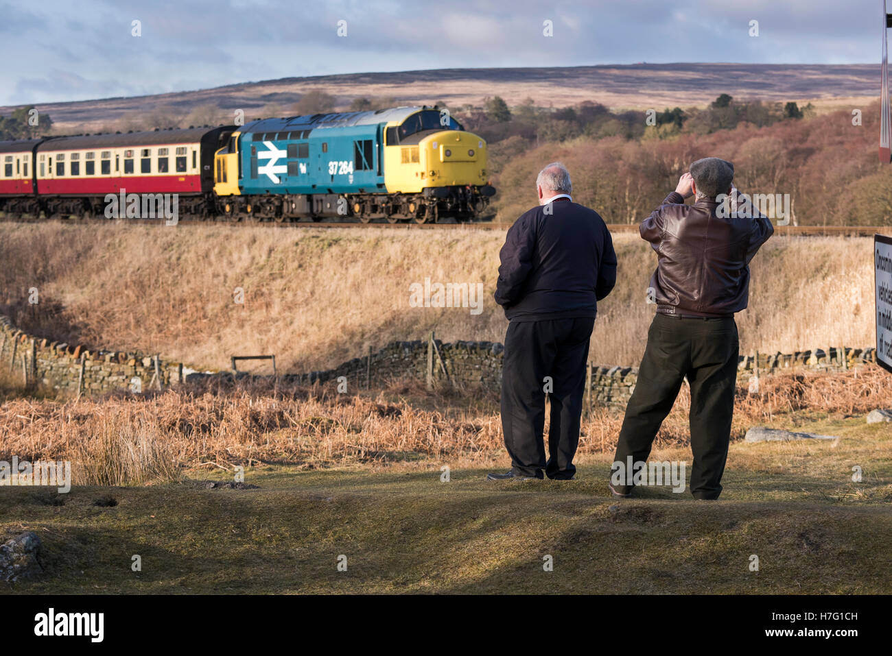 Gli appassionati di treni guardare BR classe 37 "Co-Co' n. 37264 locomotiva diesel viaggia su North Yorkshire Moors Railway, GB, UK. Foto Stock