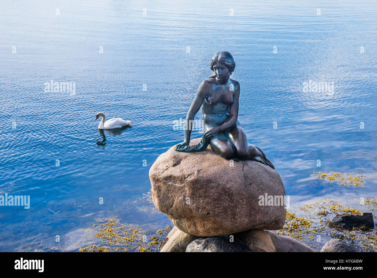 La Danimarca, la Zelanda, Copenhagen, la Sirenetta bronce statua a Langelinie promenade Foto Stock