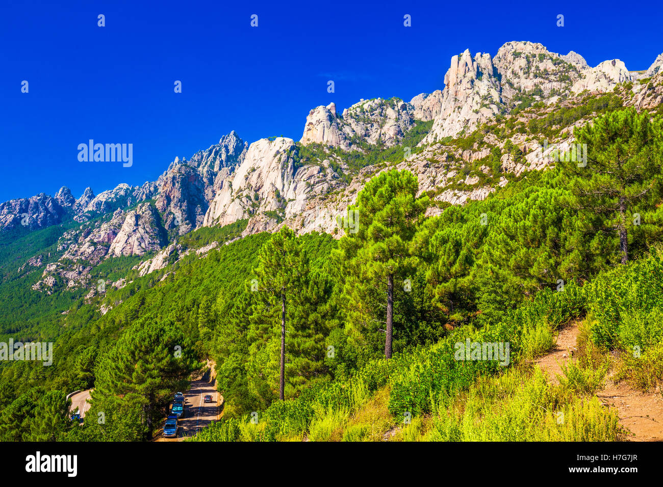 Alberi di pino al Col de Bavella montagne vicino Zonza town, Corsica, Francia, Europa. Foto Stock