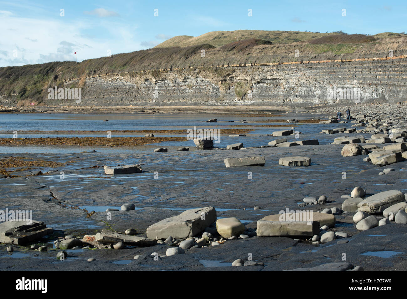 Esposte le battute di calcare, Kimmeridge Bay, Dorset. Foto Stock