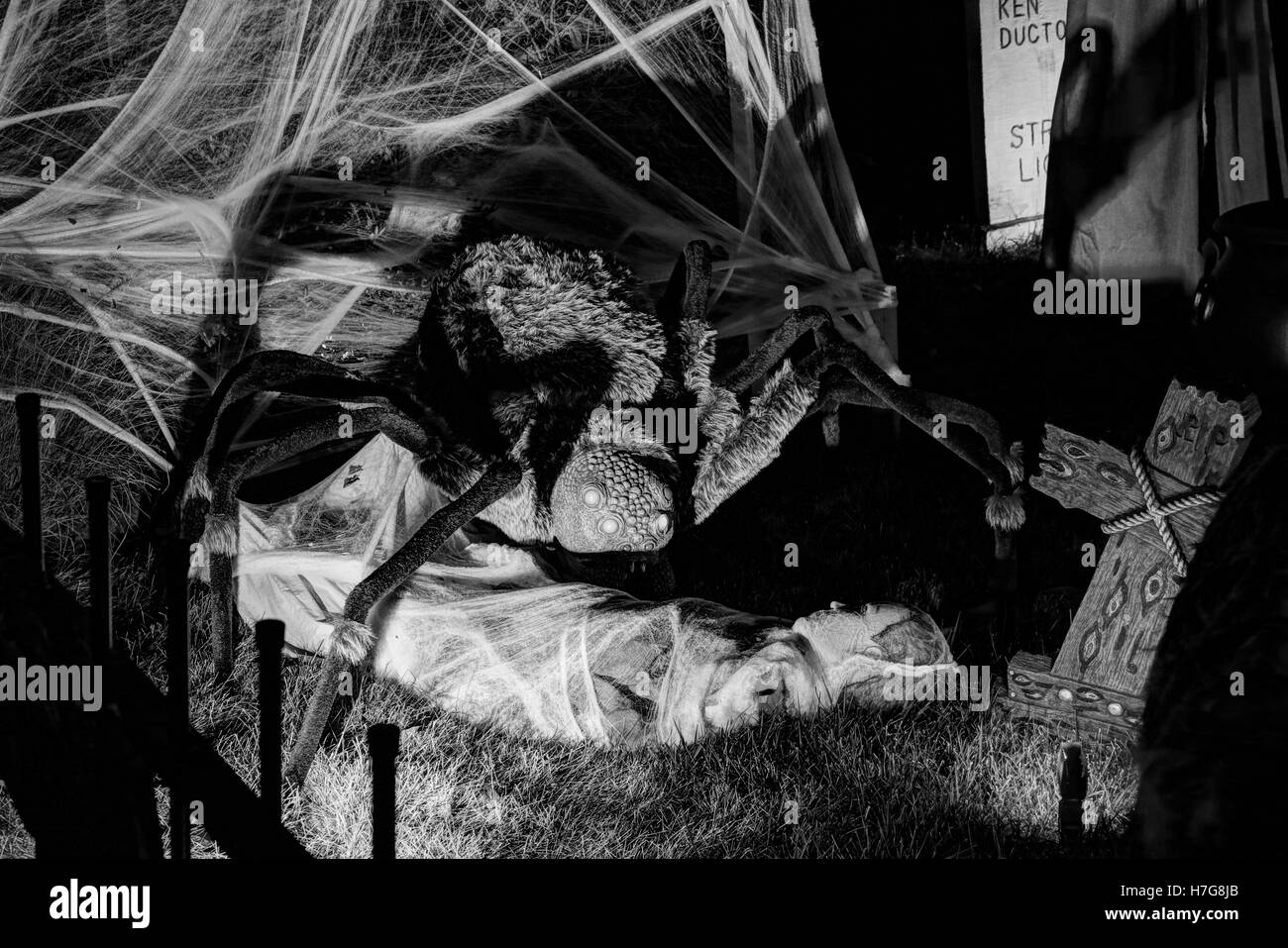 Il Ragno Gigante avvolge la donna. Decorazioni di Halloween. Cantiere di Halloween display. Foto Stock