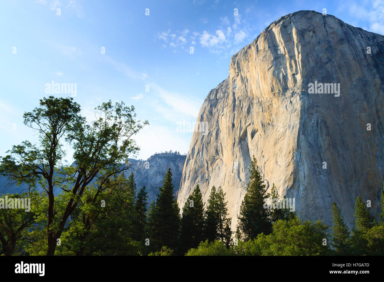 El Capitan roccia da Yosemite National Park, California USA. Formazioni geologiche. Foto Stock