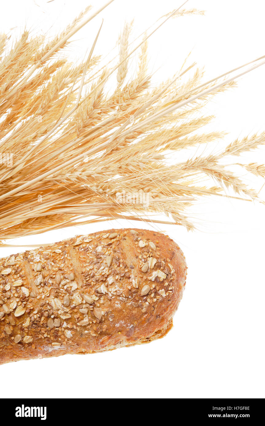 Pane di grano intero multi-pane di grano di davanti di un covone di grano legata con un nastro e isolato su bianco Foto Stock