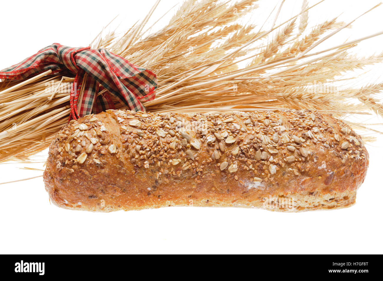 Pane di grano intero multi-pane di grano di davanti di un covone di grano legata con un nastro e isolato su bianco Foto Stock