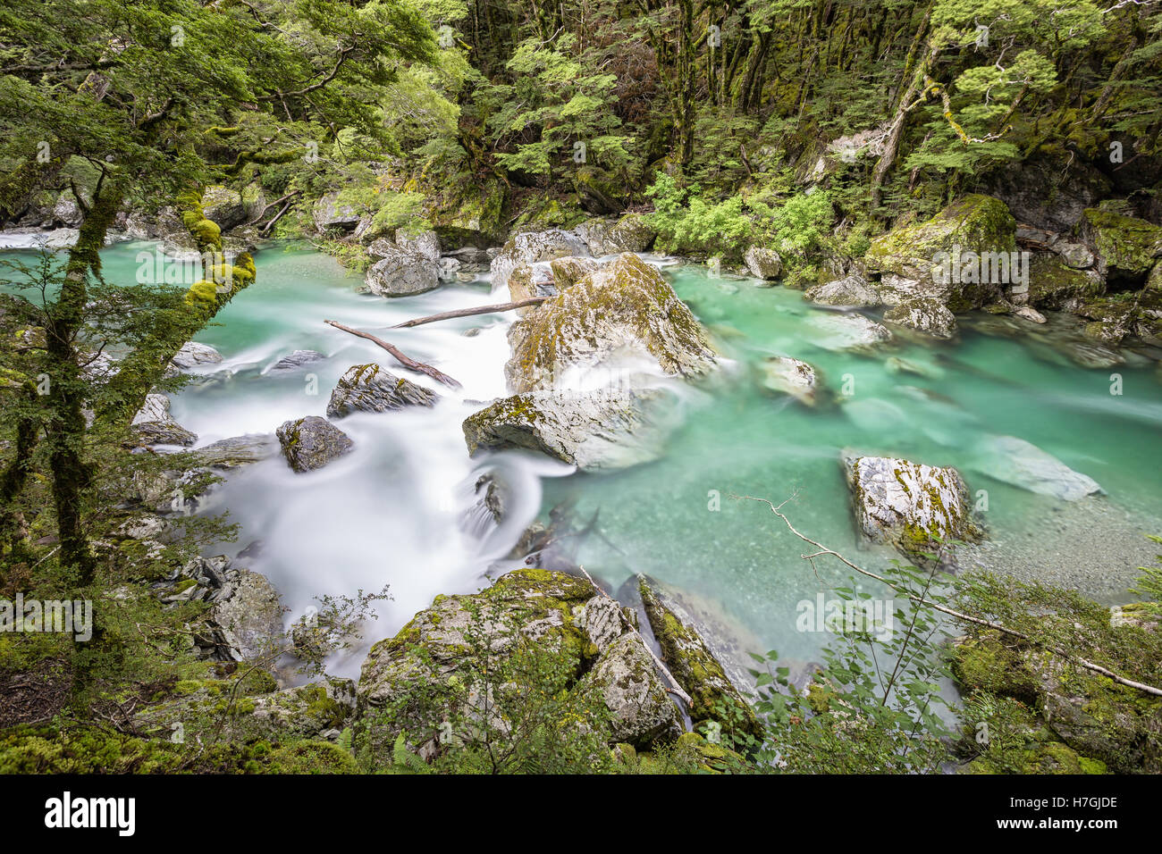 Escursioni sul Routeburn Track, Parco Nazionale di Fiordland, Nuova Zelanda Foto Stock