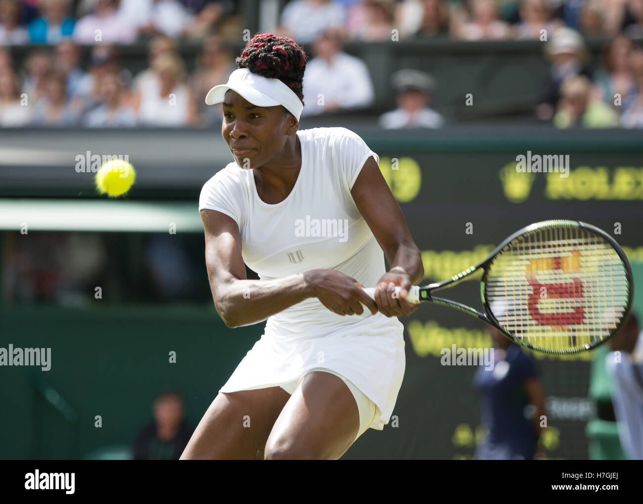 Venus Williams (USA) in azione a Wimbledon 2016 Foto Stock