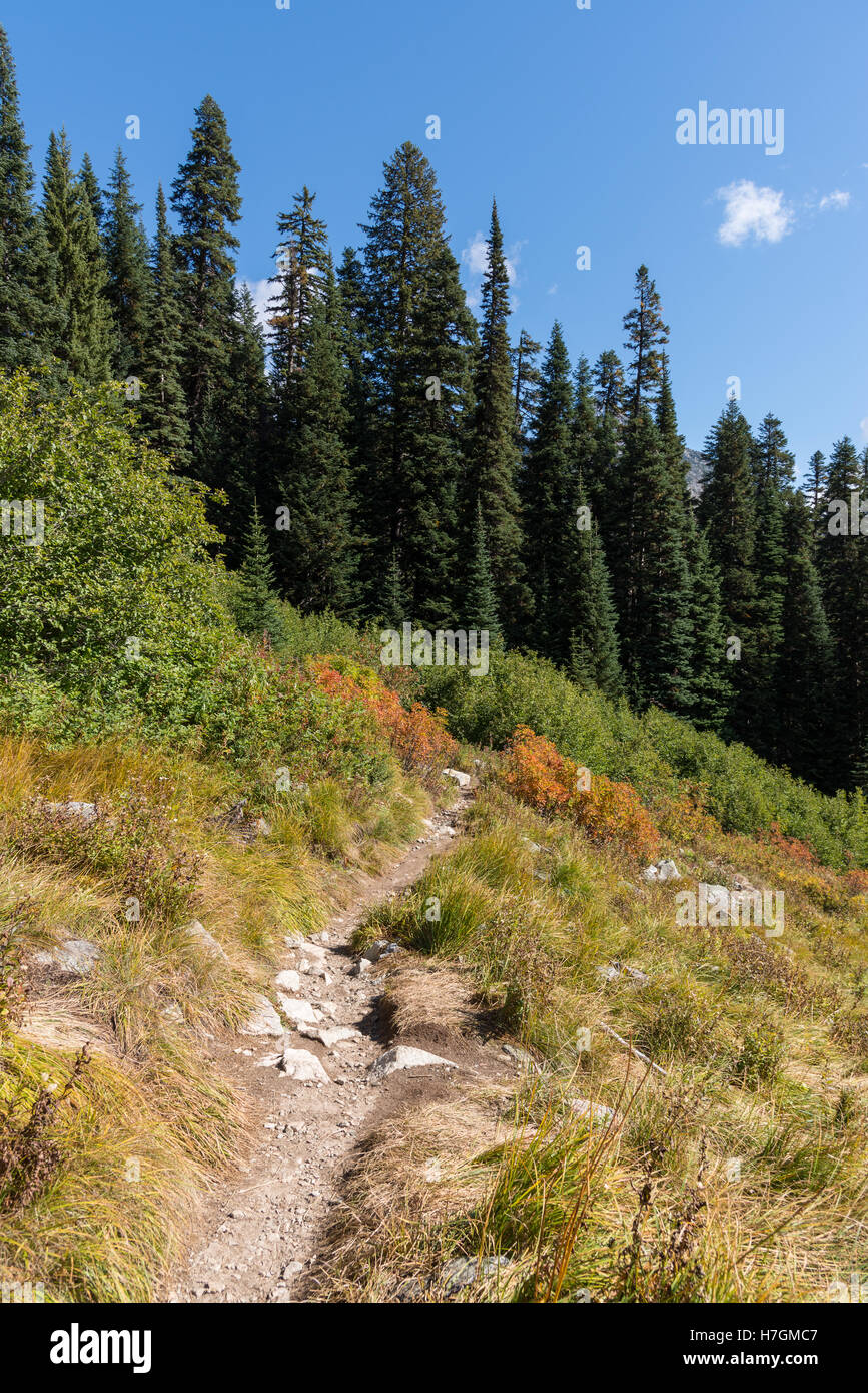 Sentiero di montagna nel Parco Nazionale delle Cascate del Nord, nello stato di Washington, USA. Foto Stock