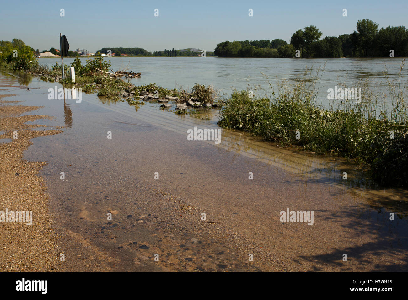 Vista del Reno Acqua alta a Speyer in giugno 2013 in una giornata di sole Foto Stock