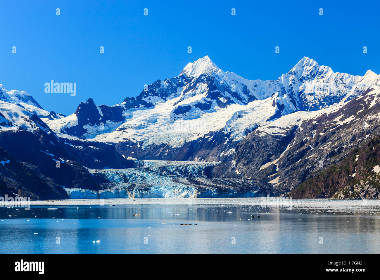 Johns Hopkins ingresso nel Parco Nazionale di Glacier Bay, Alaska Foto Stock