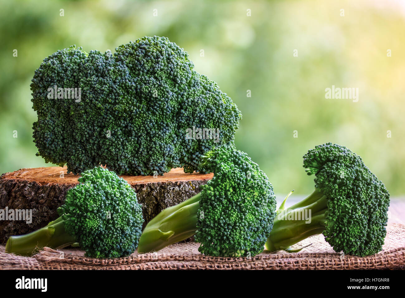 Un sano verde Materie organiche cime di broccoli pronti per la cottura Foto Stock